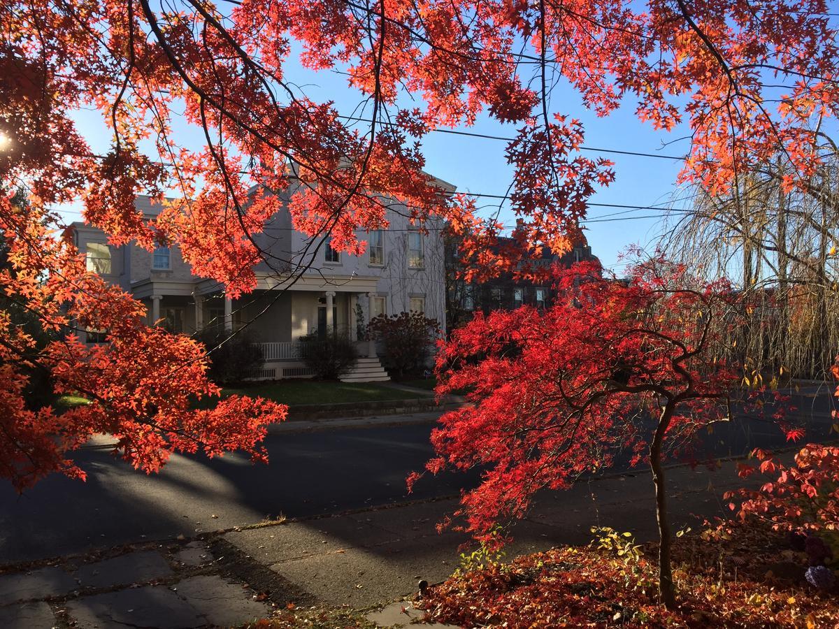 Hudson City Bed And Breakfast 외부 사진